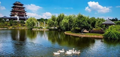 心动之旅！仅99元，12月3日韶山、花明楼纯玩一日游，开启红色文化体验