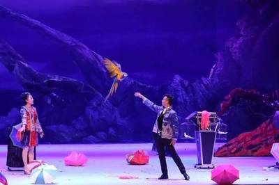 2017年朝阳公园大马戏 全方位票务代理与商务咨询指南